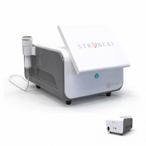 empistamp1